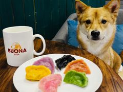 -百好乐宠物友好餐厅(朝外大街店)