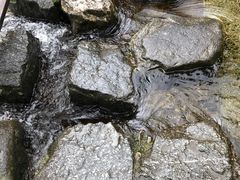 -苍山感通索道