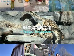 -青藏高原野生动物园