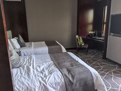 -常州环球恐龙城维景国际大酒店