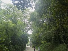 -老君山