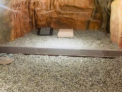 -沐熙汤泉(新安里店)