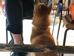 -艾蜜西餐厅(梅园店)