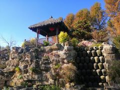 -东平国家森林公园