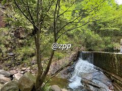-大奇山国家森林公园