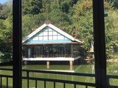 -桃园美食(水库路店)