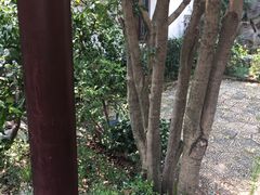 -白金汉爵大酒店(相城店)