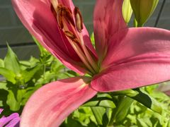 -白河湾山水缘民宿