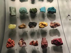 -美国自然历史博物馆