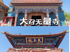 -大召无量寺