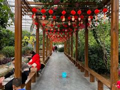 -兴芮温泉度假区