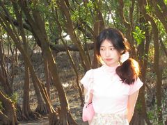 -宝安西湾红树林湿地公园