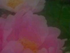 -花冠鲜花(勿忘我花店)