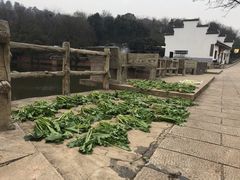 -巢湖姥山岛