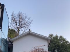 -简象咖啡CAFE ELE JANE(满陇桂雨店)