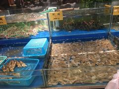 -海蓝海鲜馆(五四北店)
