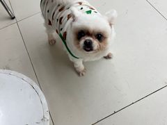 -怪兽屋·羊驼·猫咖·狗咖(俊华广场店)