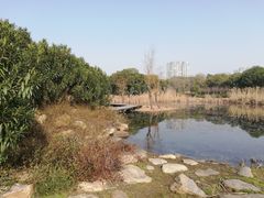 -蠡湖大桥公园