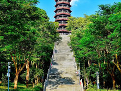 -红花山公园