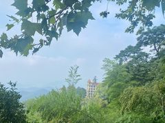 -莫干山风景区