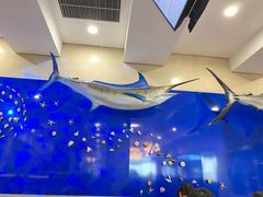 -贝林大翅鲸简餐厅(国家海洋博物馆店)