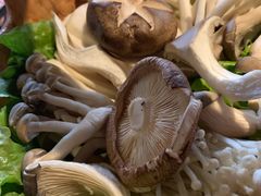 -捞王锅物料理(凯旋路店)