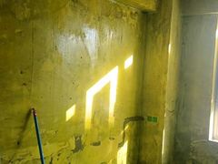 -大树装饰·十年本土家装