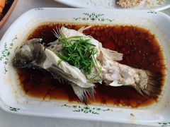 -云中小雅
