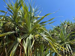 -亚龙湾海底世界