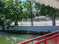 -向外鱼乐·土菜·虹鳟鱼