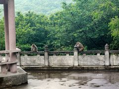 -苏州上方山国家森林公园