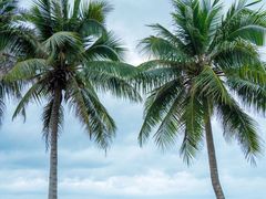 -海南清水湾莱佛士酒店