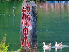 -靖西鹅泉风景区