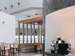 -虹桥机场国航贵宾室v8