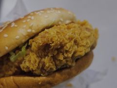 麦辣鸡腿堡-麦当劳(温州人民路店)