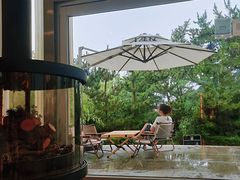 -莫内艺术岛海景咖啡