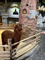 -Zoolung Zoolung动物主题公园(海信广场店)