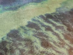 -沈阳海洋探索中心