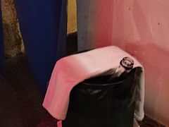 -毛辣果·酸(OHA复兴西路店)