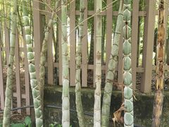 -黄公望隐居地