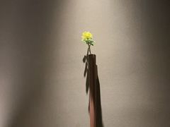 -安屿an·spa(卓悦中心商场店)