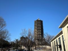 -北京大学赛克勒考古与艺术博物馆
