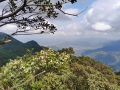 -鸡枕山