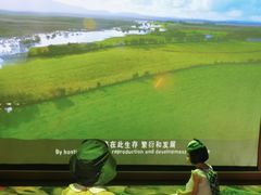 -中国湿地博物馆