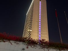 -广州白天鹅宾馆