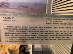 -北京大学赛克勒考古与艺术博物馆