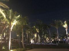-三亚湾红树林度假世界(木棉酒店)