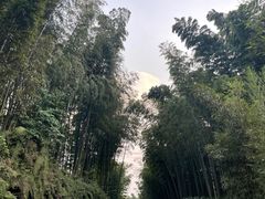 -蜀南竹海景区