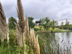 -眉山湿地公园(东坡区)