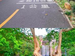 -惠州西湖